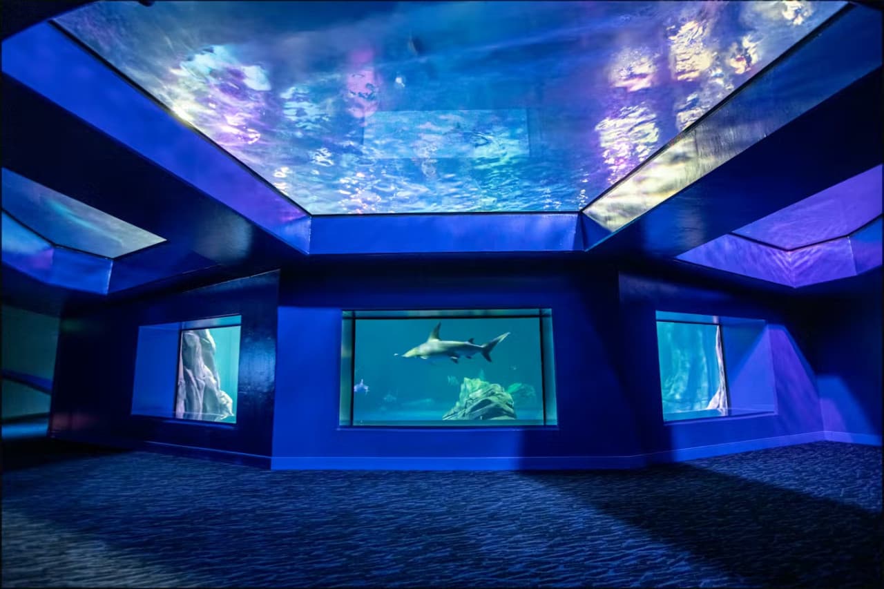 Georgia Aquarium: Fast Track Ticket - image 11