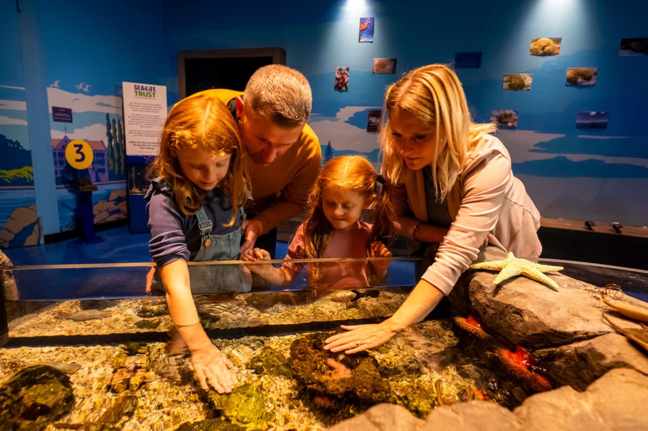 SEA LIFE Konstanz Aquarium Ticket - image 3