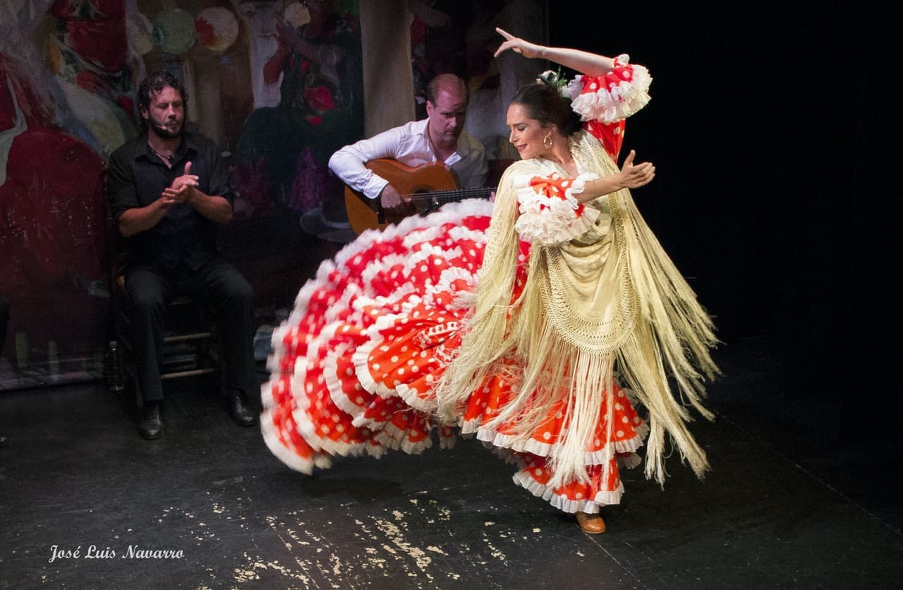 Flamenco Show at Triana Theater - image 7