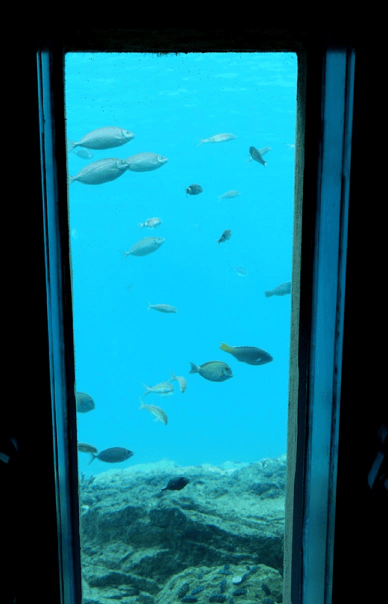 Parque submarino Miyakojima de Okinawa - imagen 4