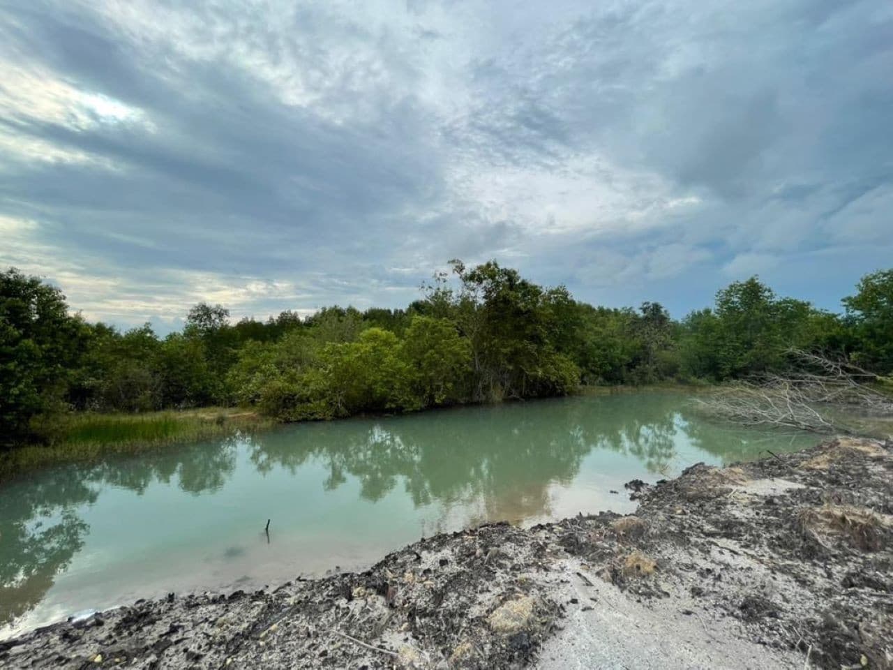 Langkawi Countryside Biking Tour - image 4