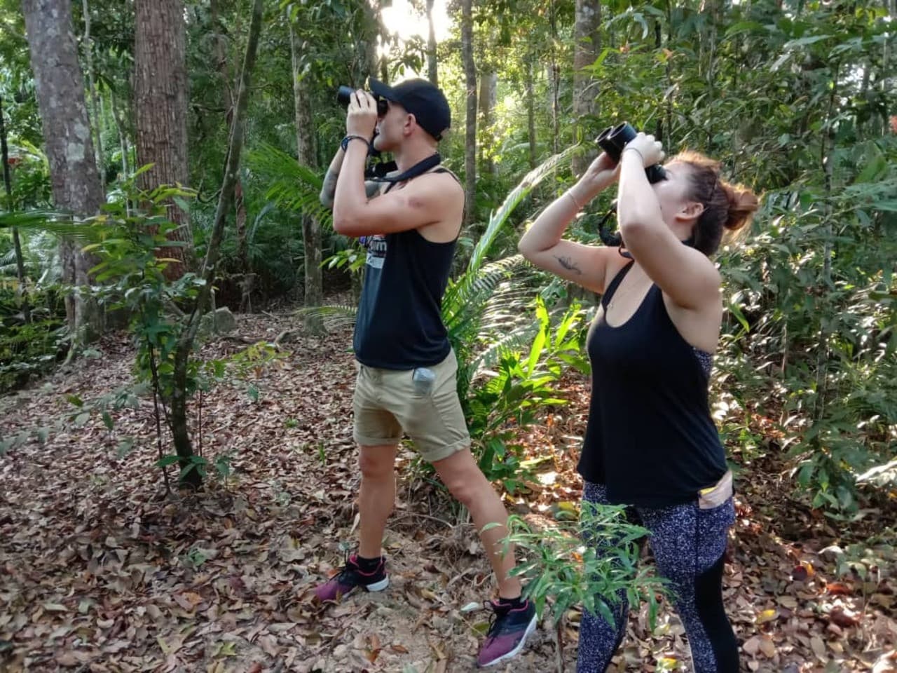 Langkawi Birdwatching Experience Tour - Half Day - image 4