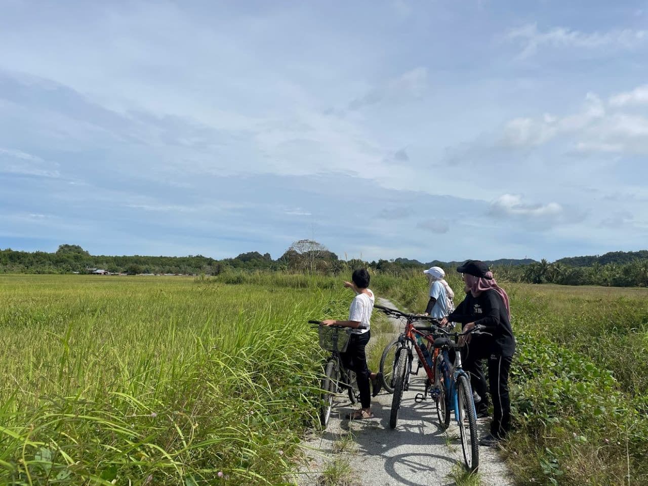 Langkawi Countryside Biking Tour - image 3