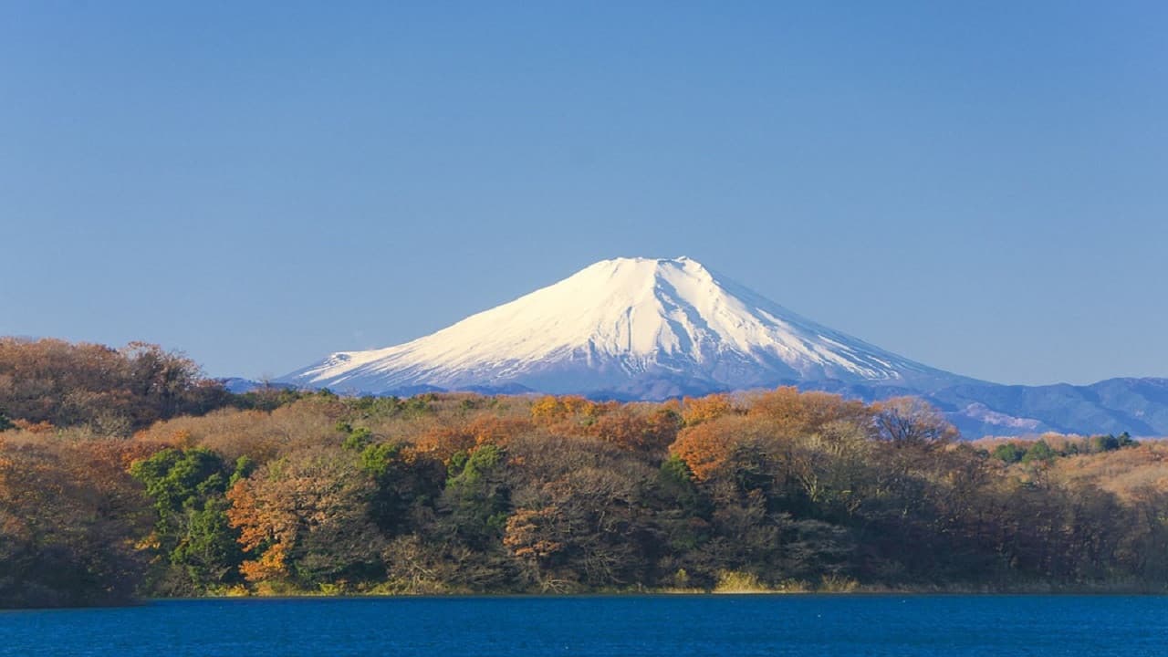 Mount Fuji and Hakone Tour - image 2