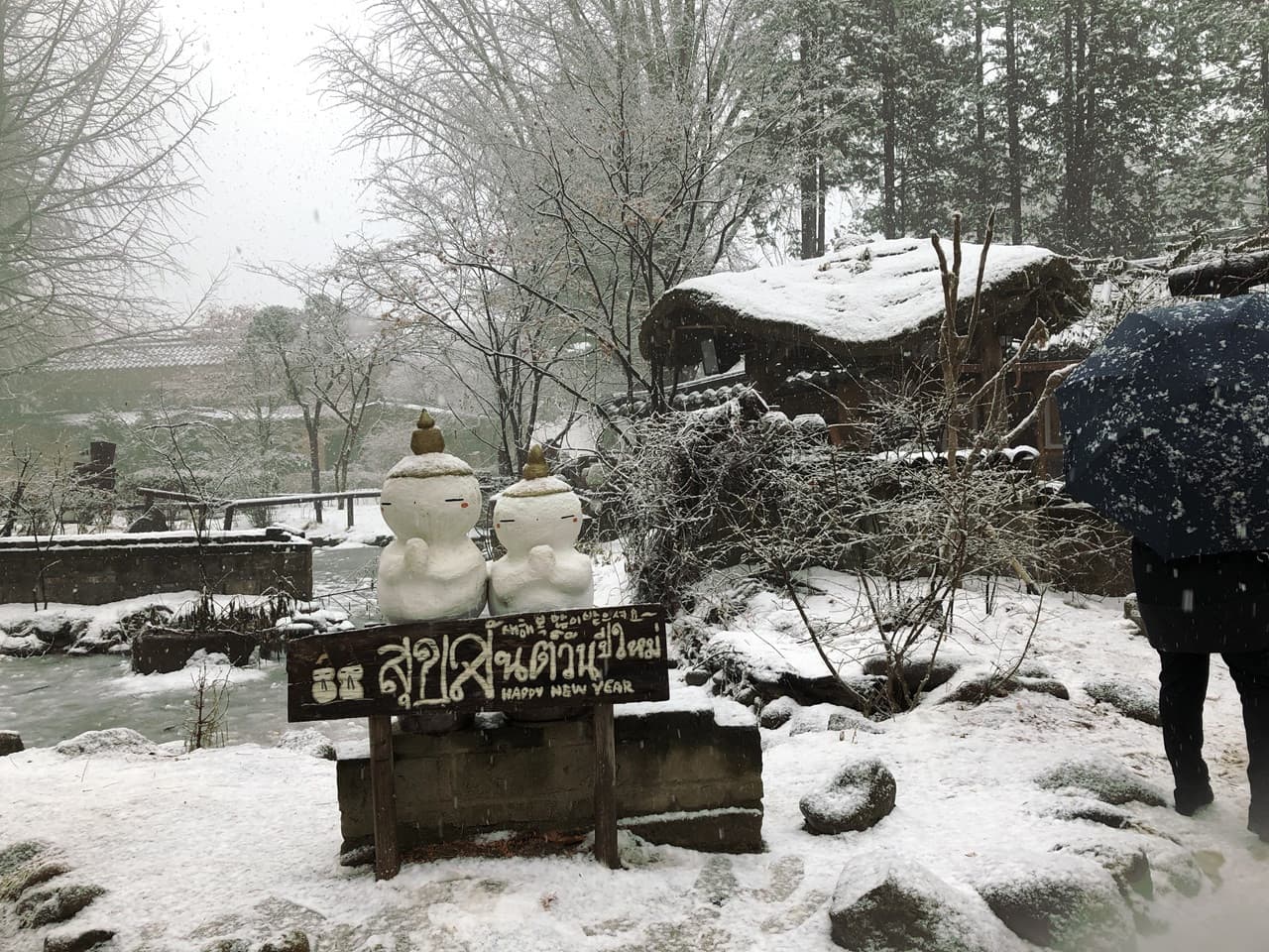 Nami Island and Mount Seorak Full-Day Tour from Seoul - 이미지 10