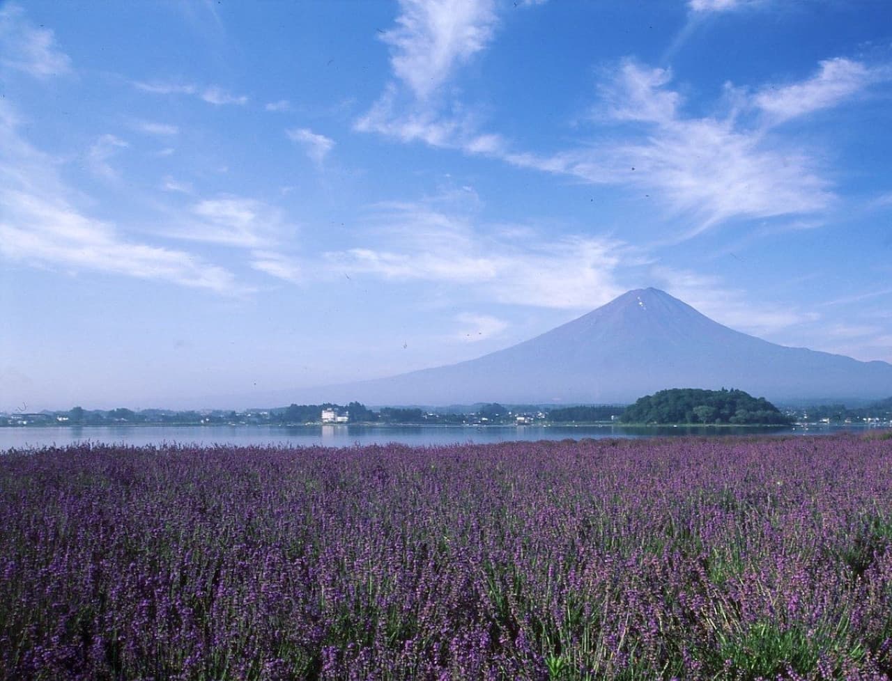 Fuji Hakone Pass - main image