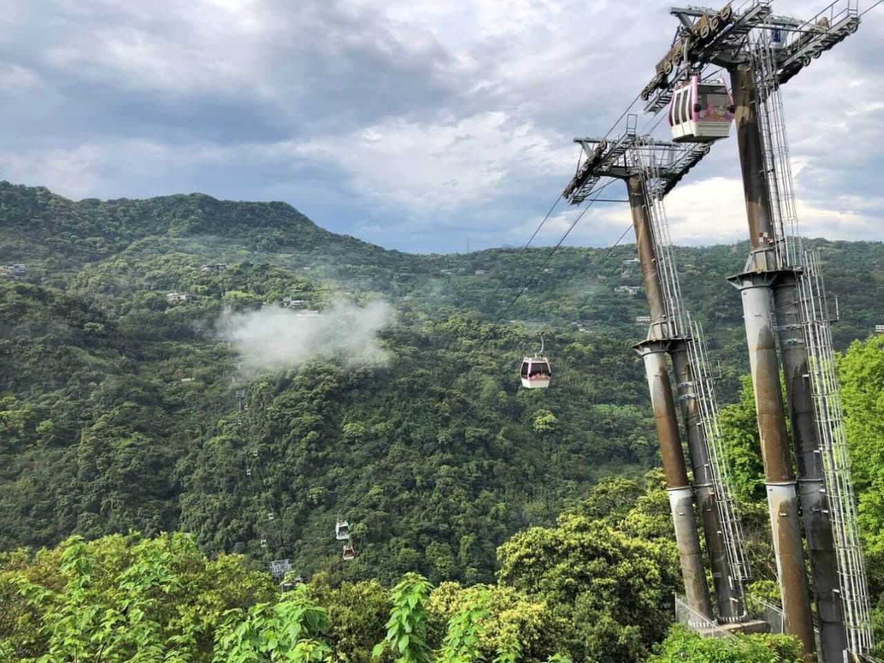 Pinglin Tea Culture and Maokong Full-Day Tour from Taipei - image 3