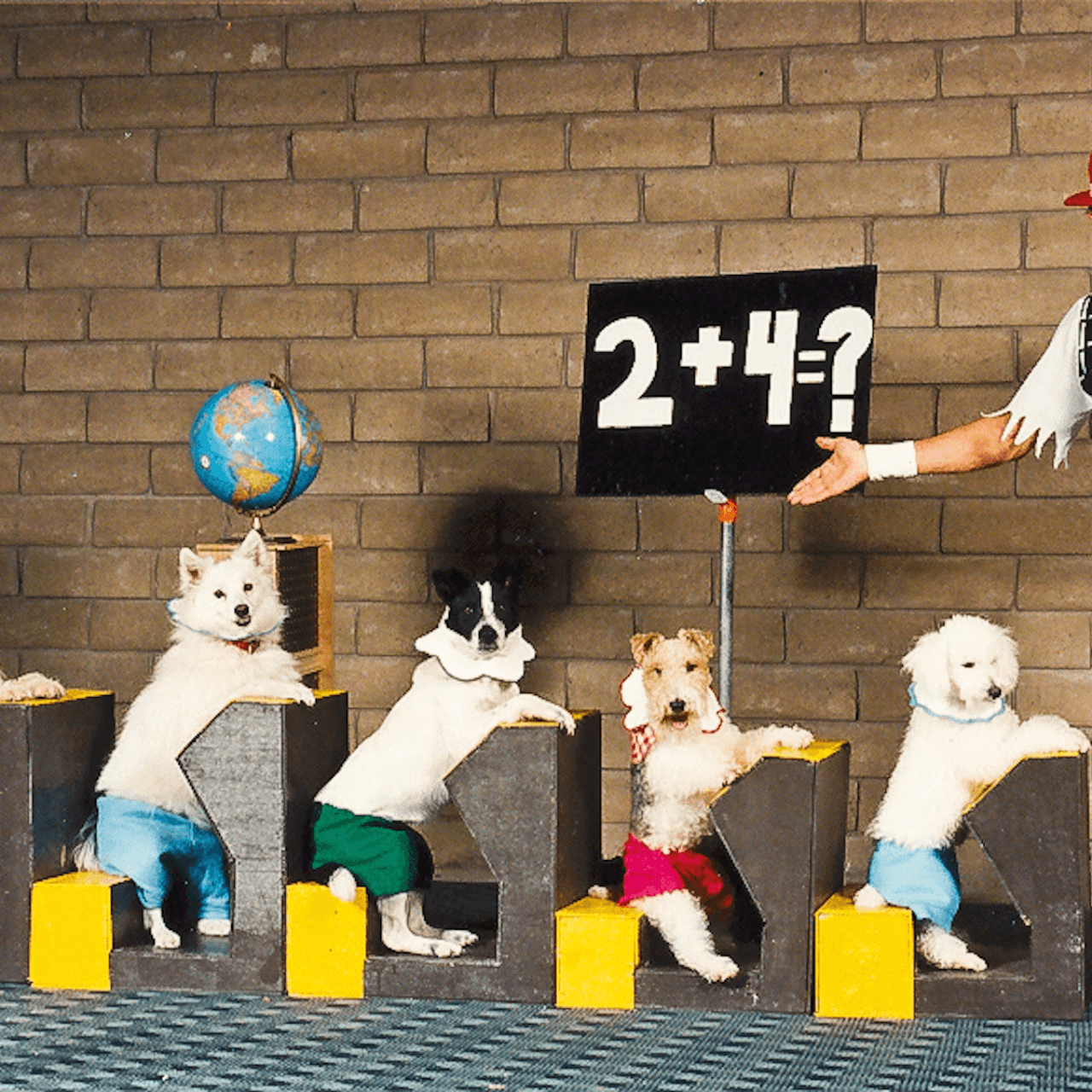 V Theatre Las Vegas - Popovich Comedy Pet Theatre - image 5