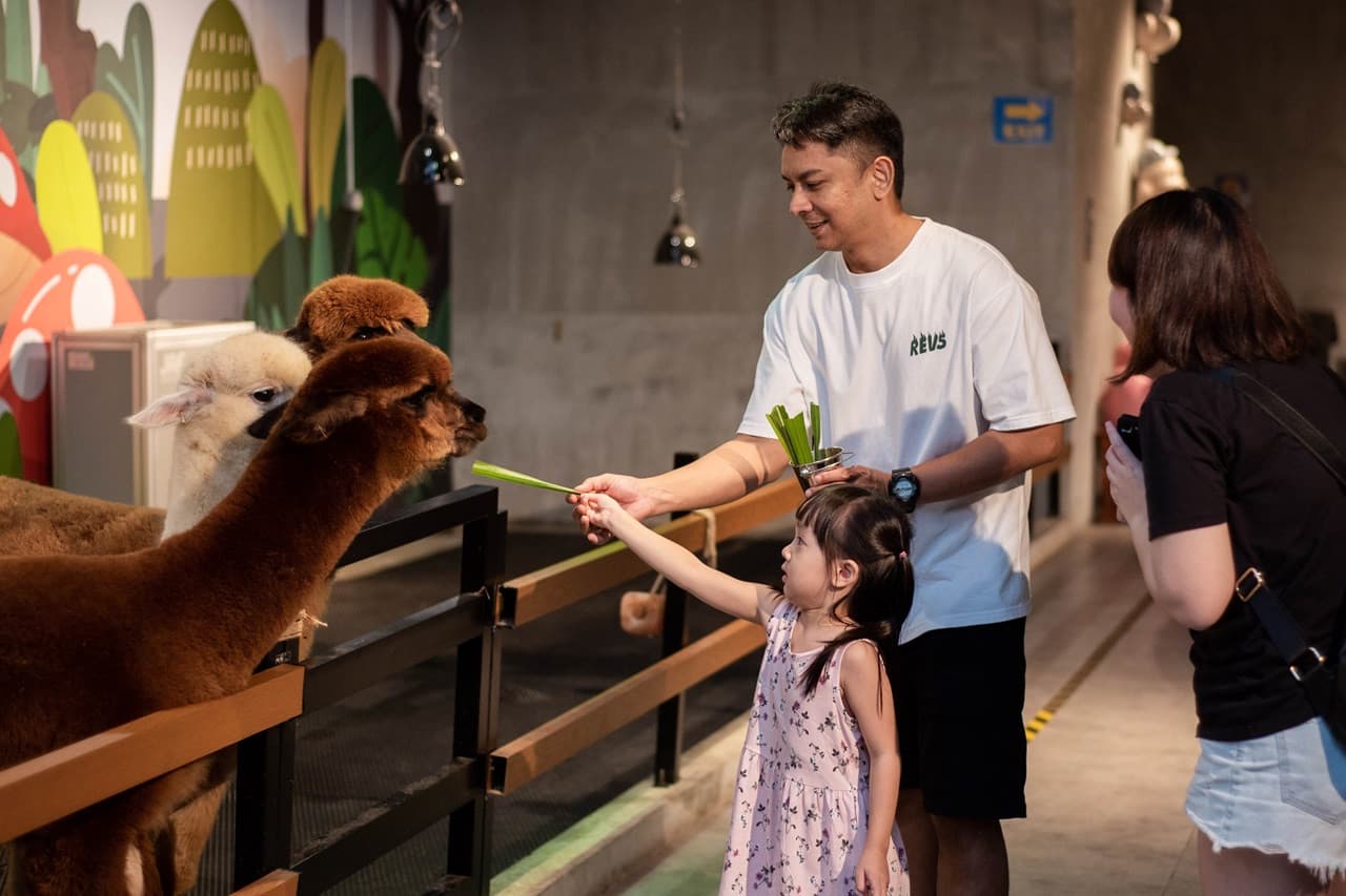 Just Farm Indoor Zoo Kuala Lumpur  (Previously Known As Just Pets Megastore) - image 4