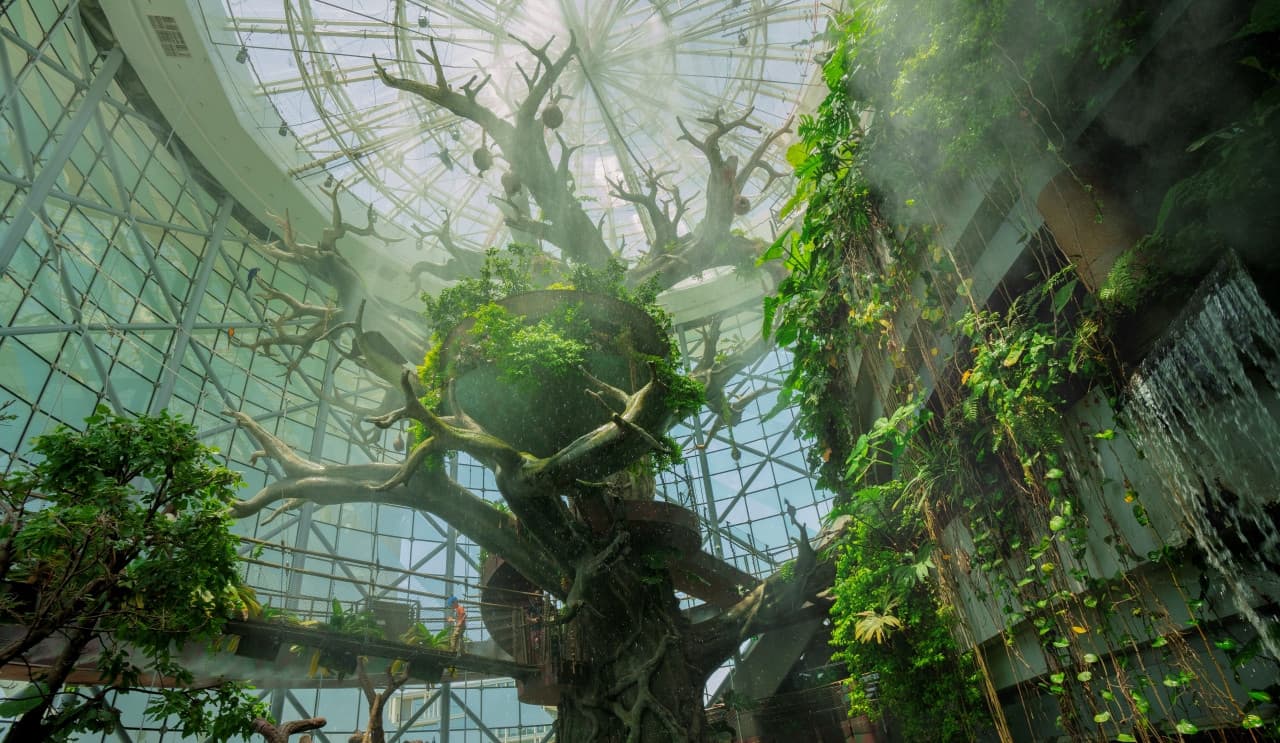 The Green Planet Dubai Ticket - image 11