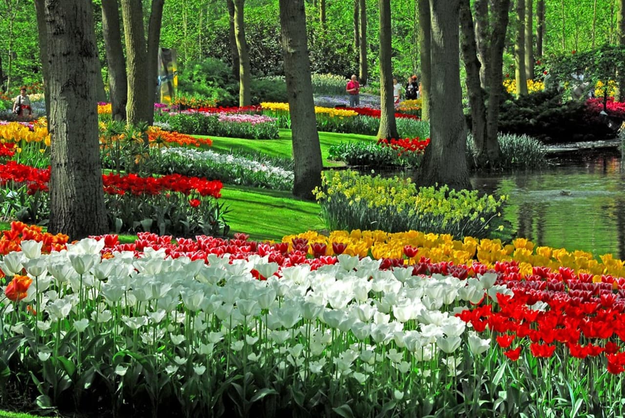 Keukenhof Gardens Ticket with Round Trip Bus Transfer from Amsterdam - main image