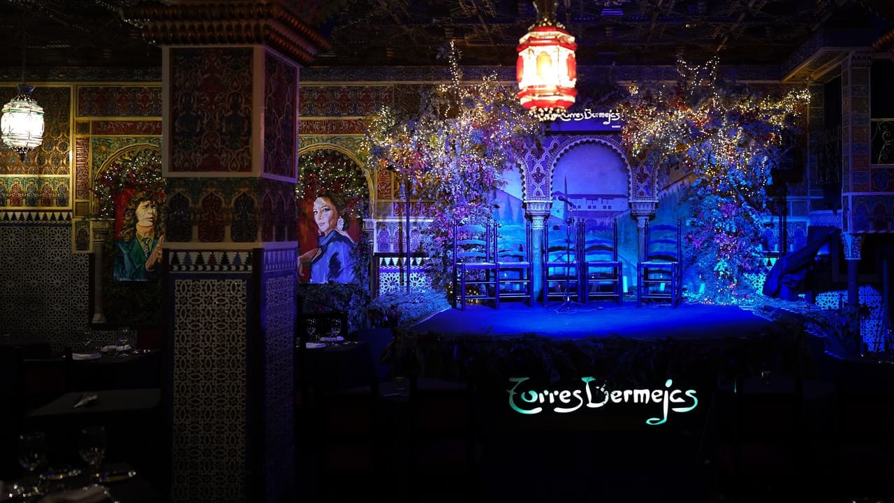 Flamenco Show at Tablao Torres Bermejas - image 8