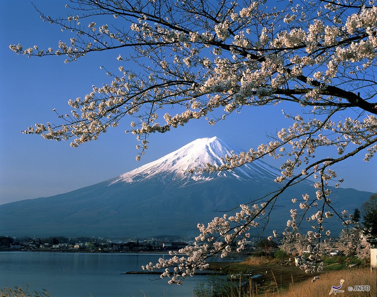 Mount Fuji and Oshino Hakkai Ole Hot Spring Full-Day Tour from Tokyo - image 2