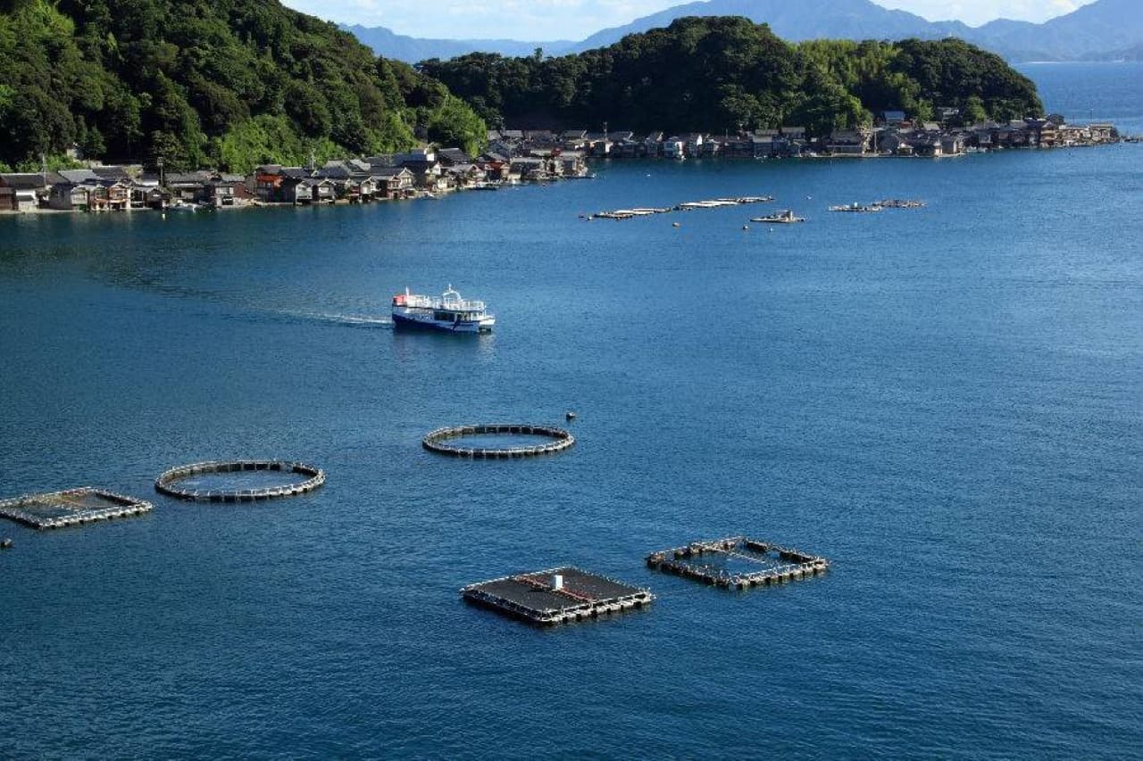 Pase JR Kansai WIDE Area - imagen 9