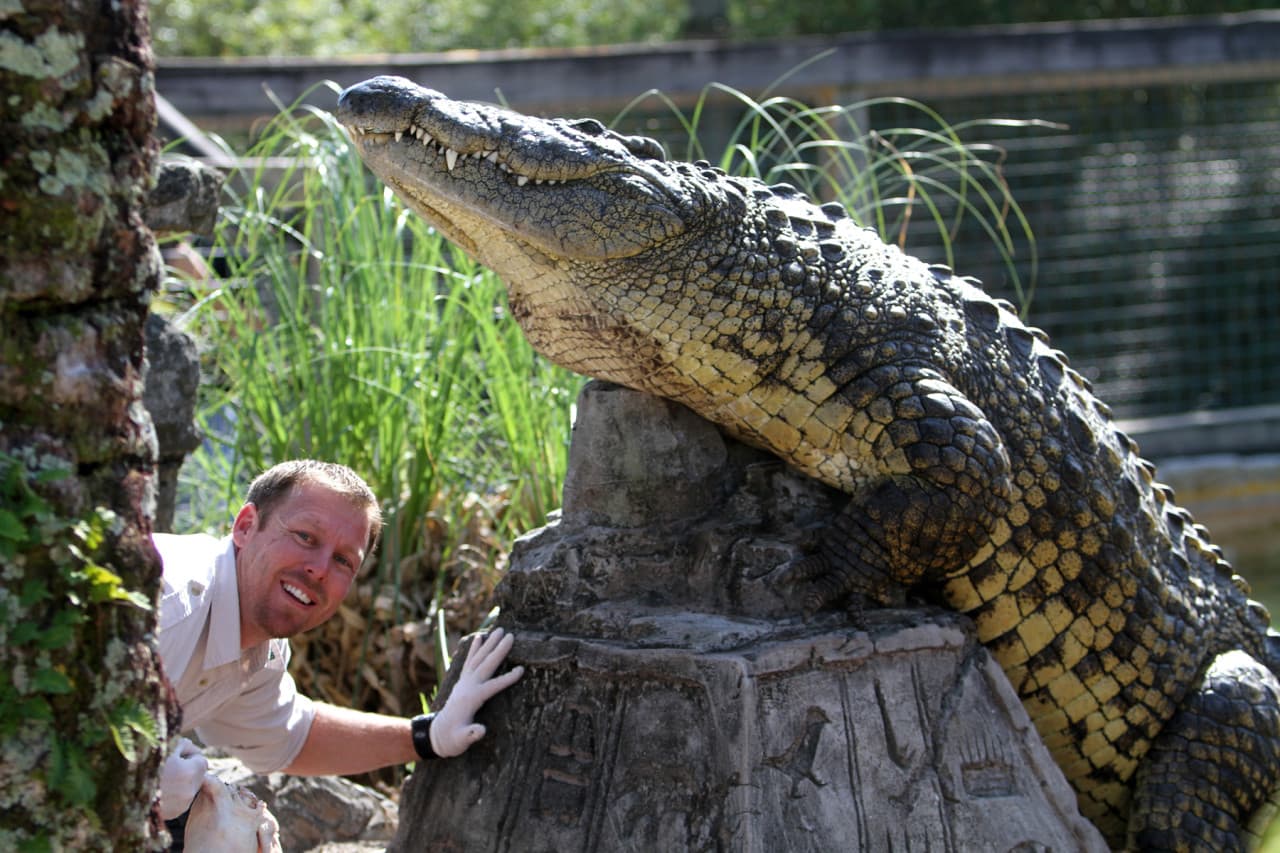 Go City Orlando Essentials Pass: 3 Attractions - image 16