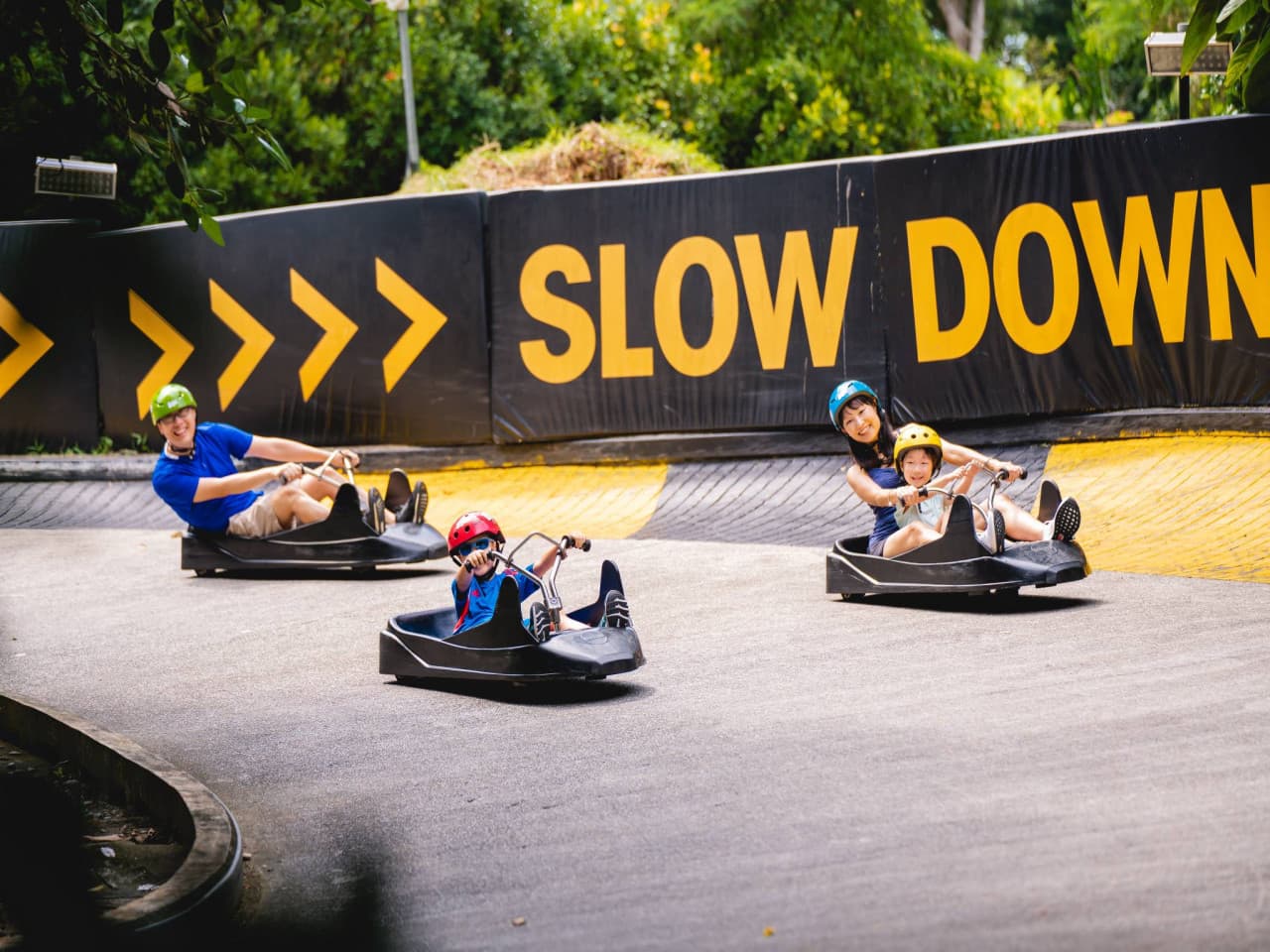 COMBO: Skyline Luge Singapore + Gardens by the Bay Ticket - image 7