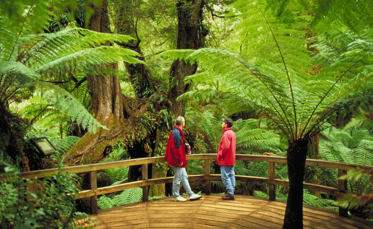 Great Ocean Road Tour from Melbourne - image 27