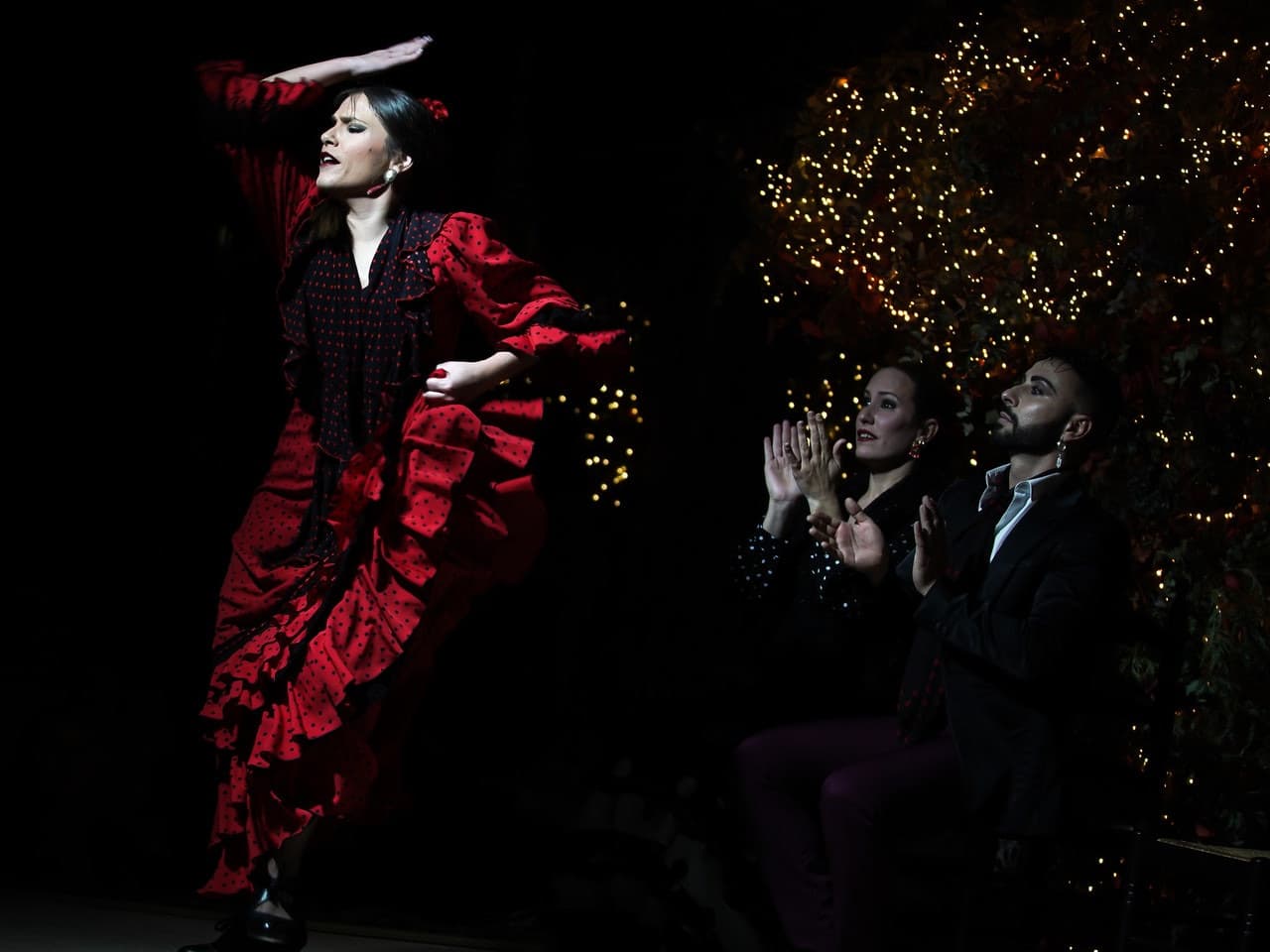 Flamenco Show at Tablao Torres Bermejas - image 2