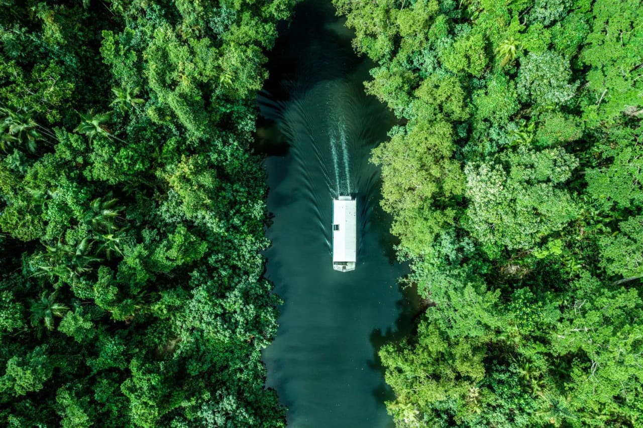 Daintree, Mossman Gorge, and Wildlife Habitat Port Douglas Full-Day Tour - image 2