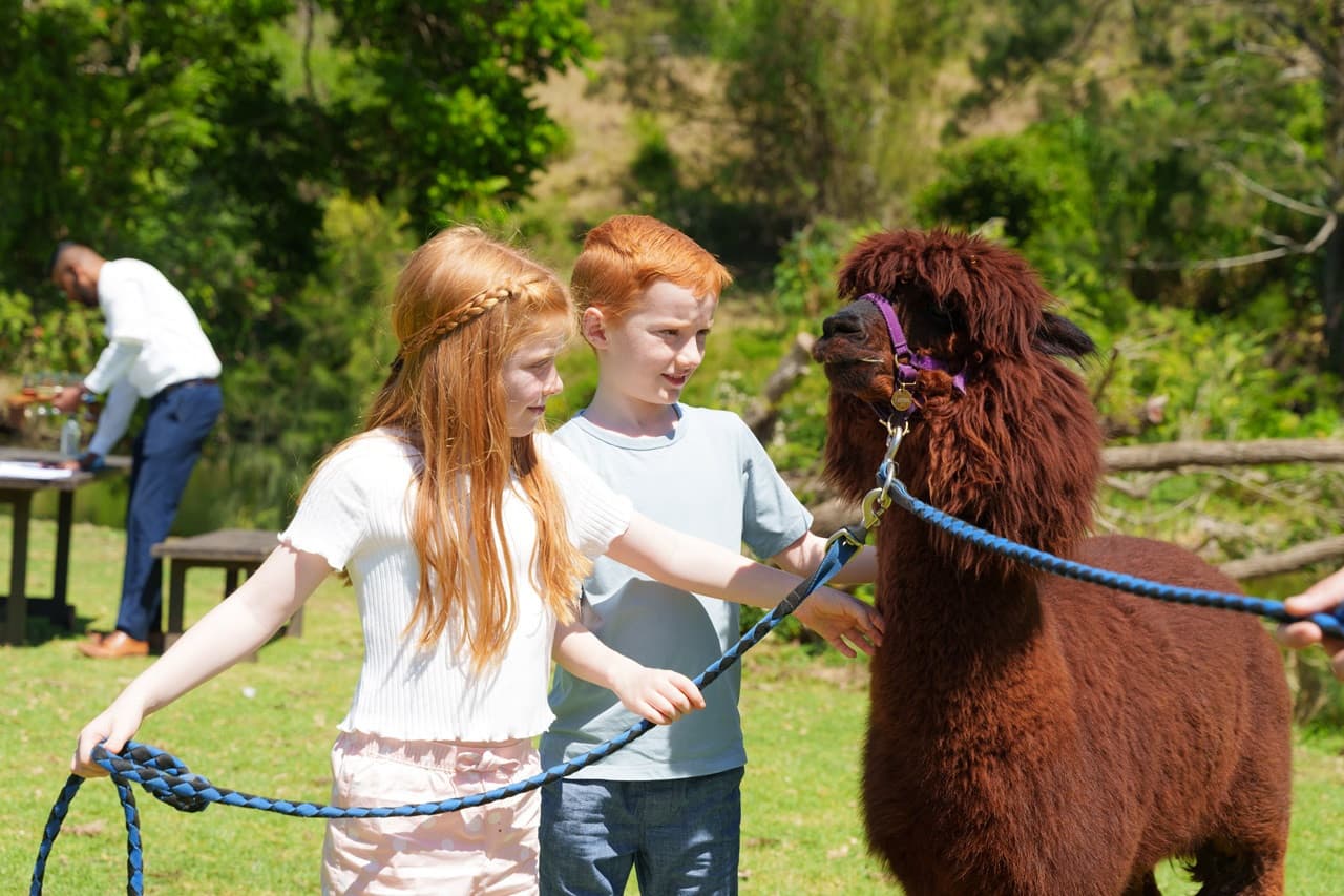 Lamington National Park Tour: O'Reilly's Rainforest Retreat and Canungra Valley Vineyard - image 12