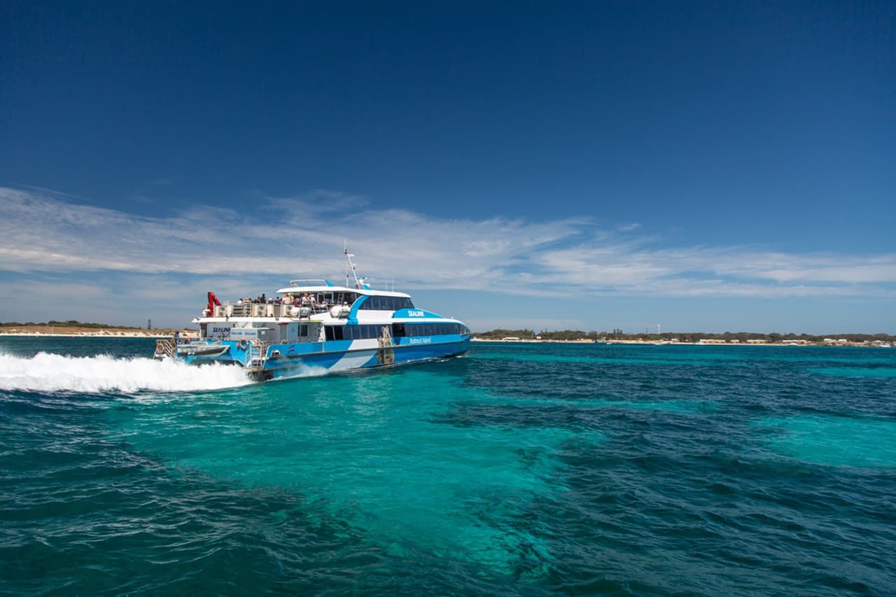 Round Trip SeaLink Ferry to Rottnest Island - image 7