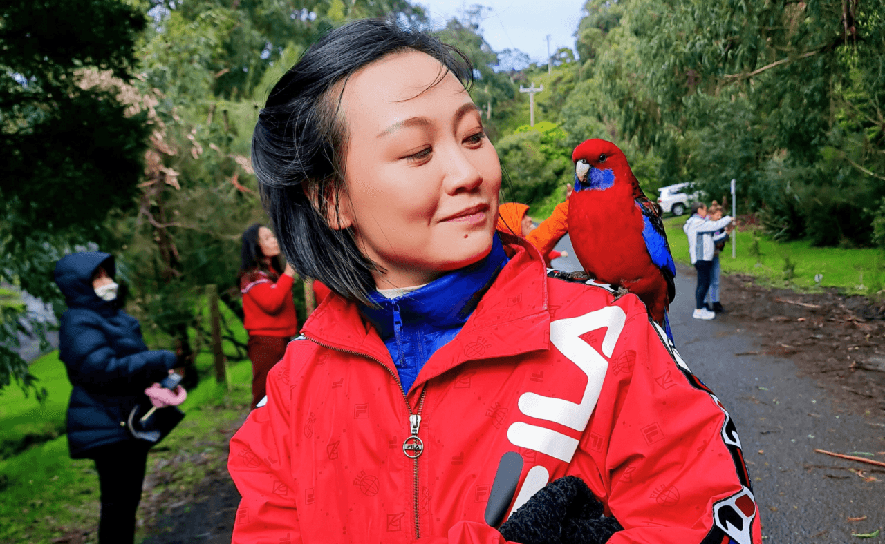 Great Ocean Road Tour from Melbourne - image 16