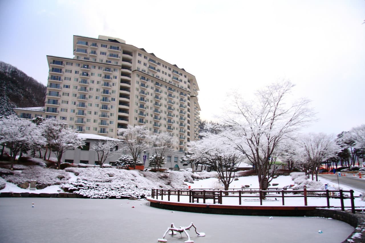 Elysian Gangchon Ski Resort and Eobi Ice Valley Full-Day Tour from Seoul - image 12