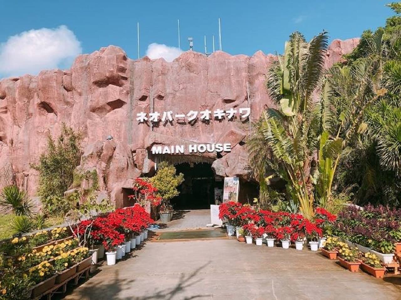 Okinawa Churaumi TokuToku 5 Pass - image 6
