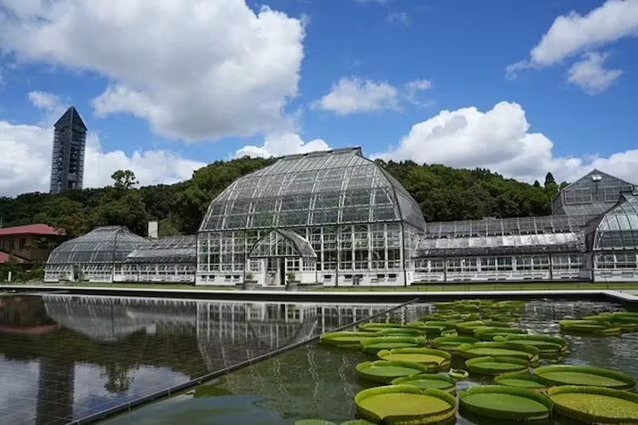 Zoológico y Jardines Botánicos Higashiyama de la ciudad de Nagoya - imagen 17