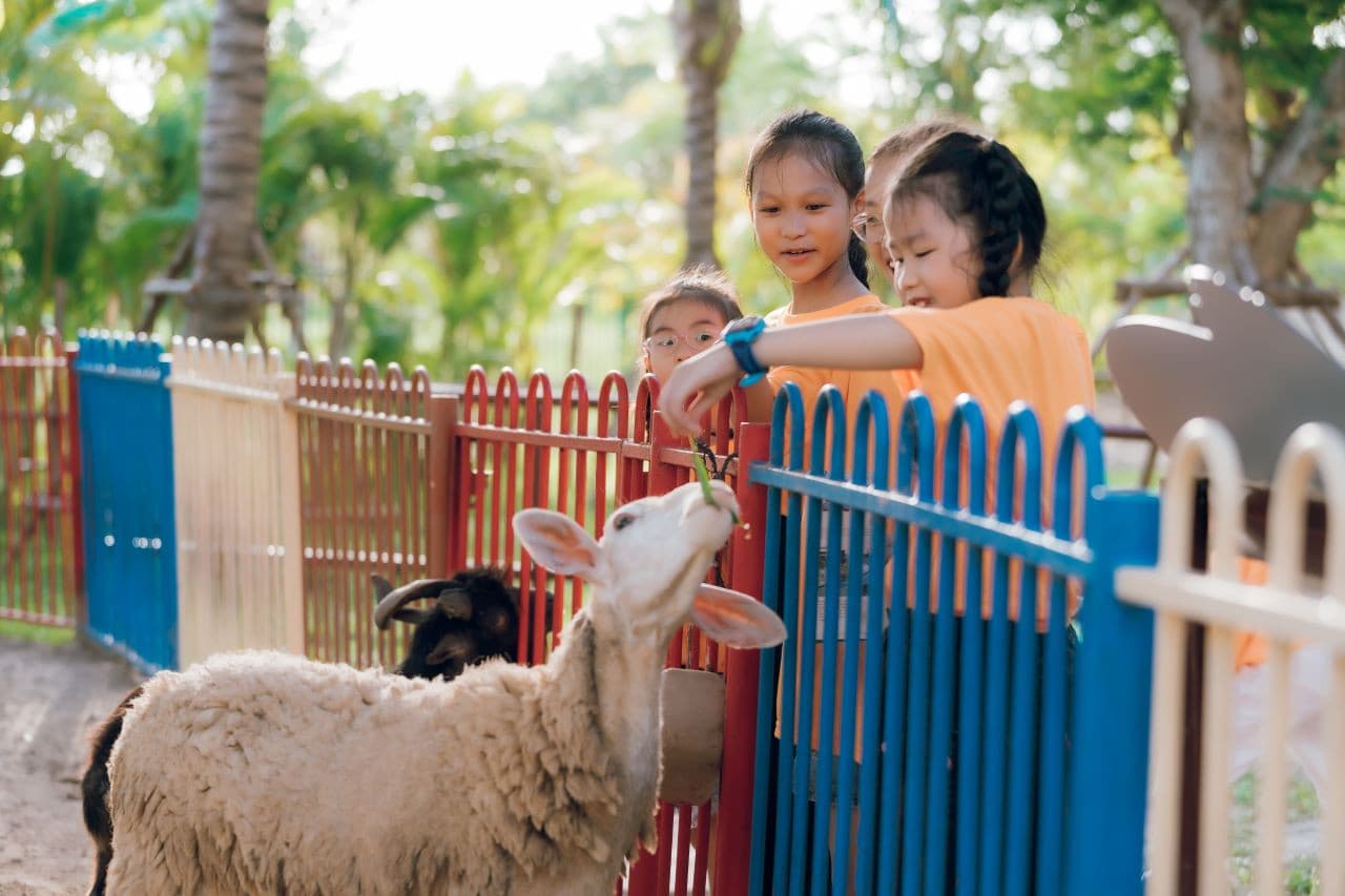 VinWonders Nam Hoi An Amusement Park Ticket - image 11