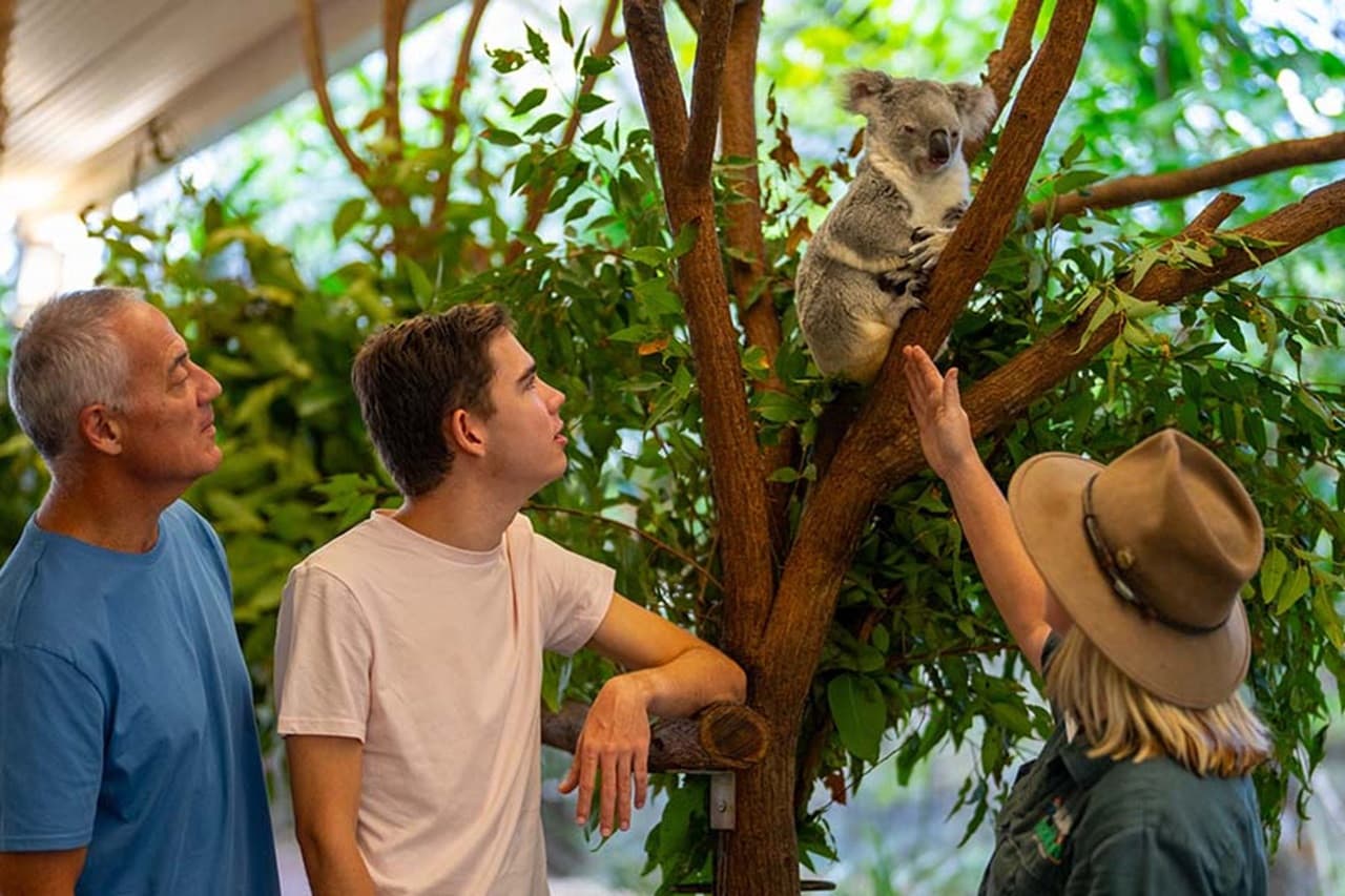 Wildlife Habitat Port Douglas Ticket - image 4