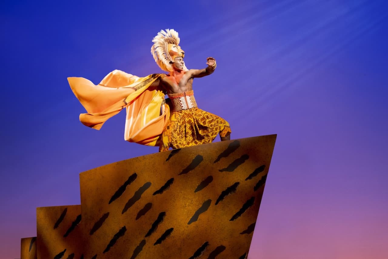 The Lion King Broadway Musical Ticket in New York - image 7