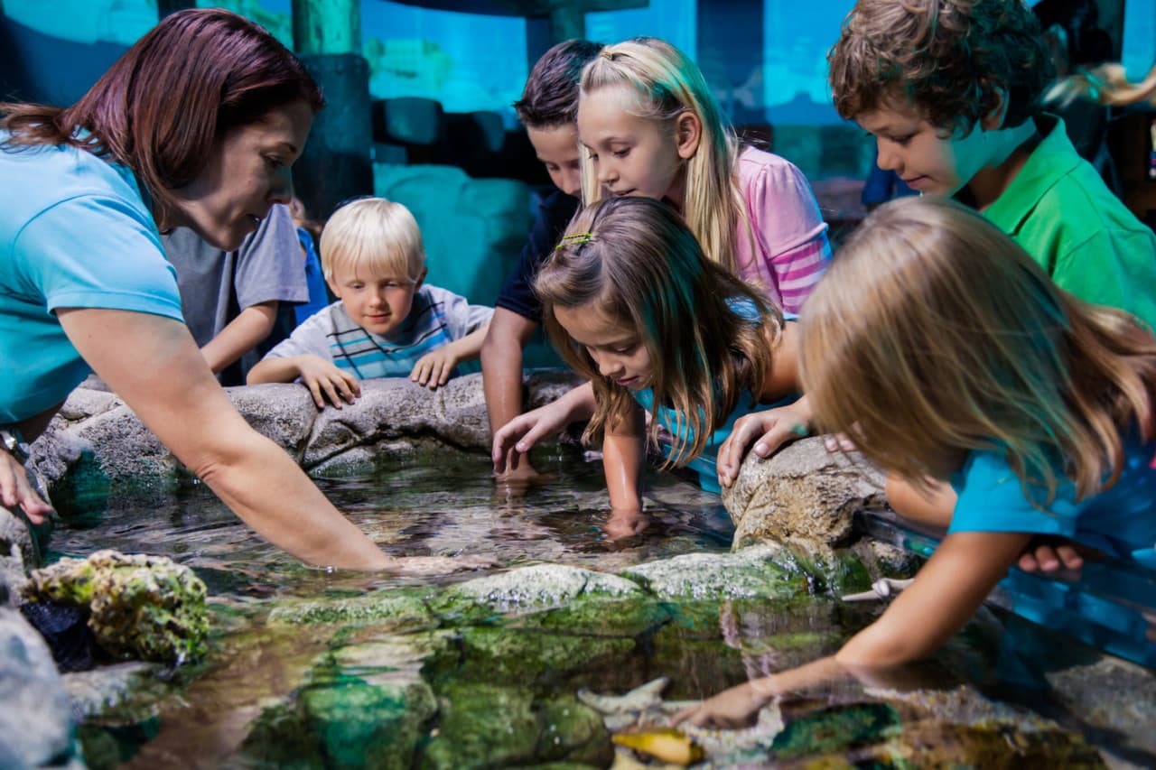 Go City Orlando Essentials Pass: 3 Attractions - image 12