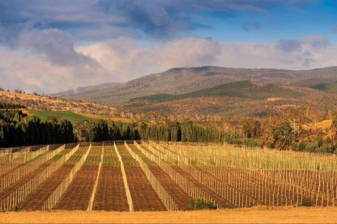 Russell Falls Tour from Hobart - imagen 3