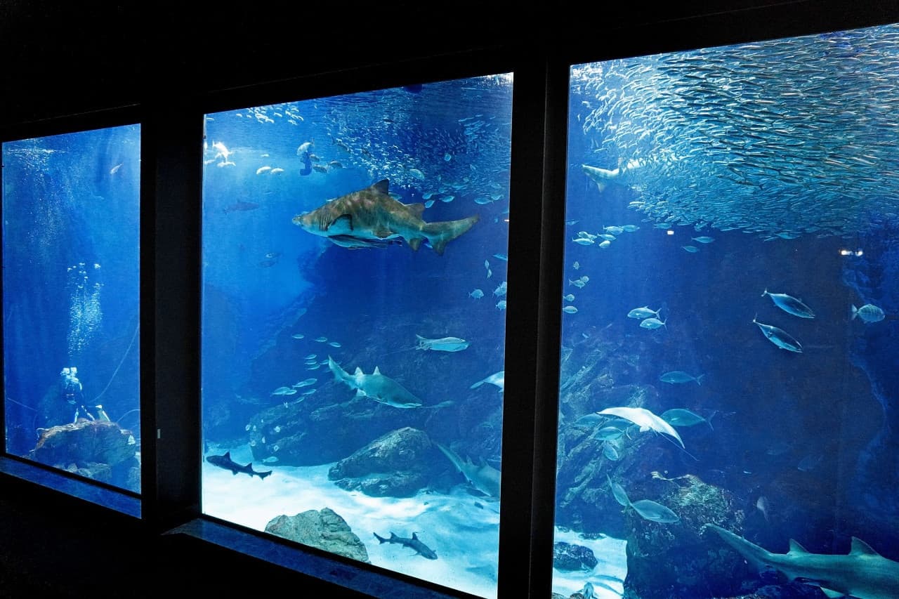 Marine World Uminonakamichi - image 4