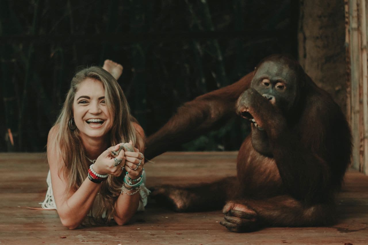 Lombok Wildlife Park Orangutan Interaction - image 2