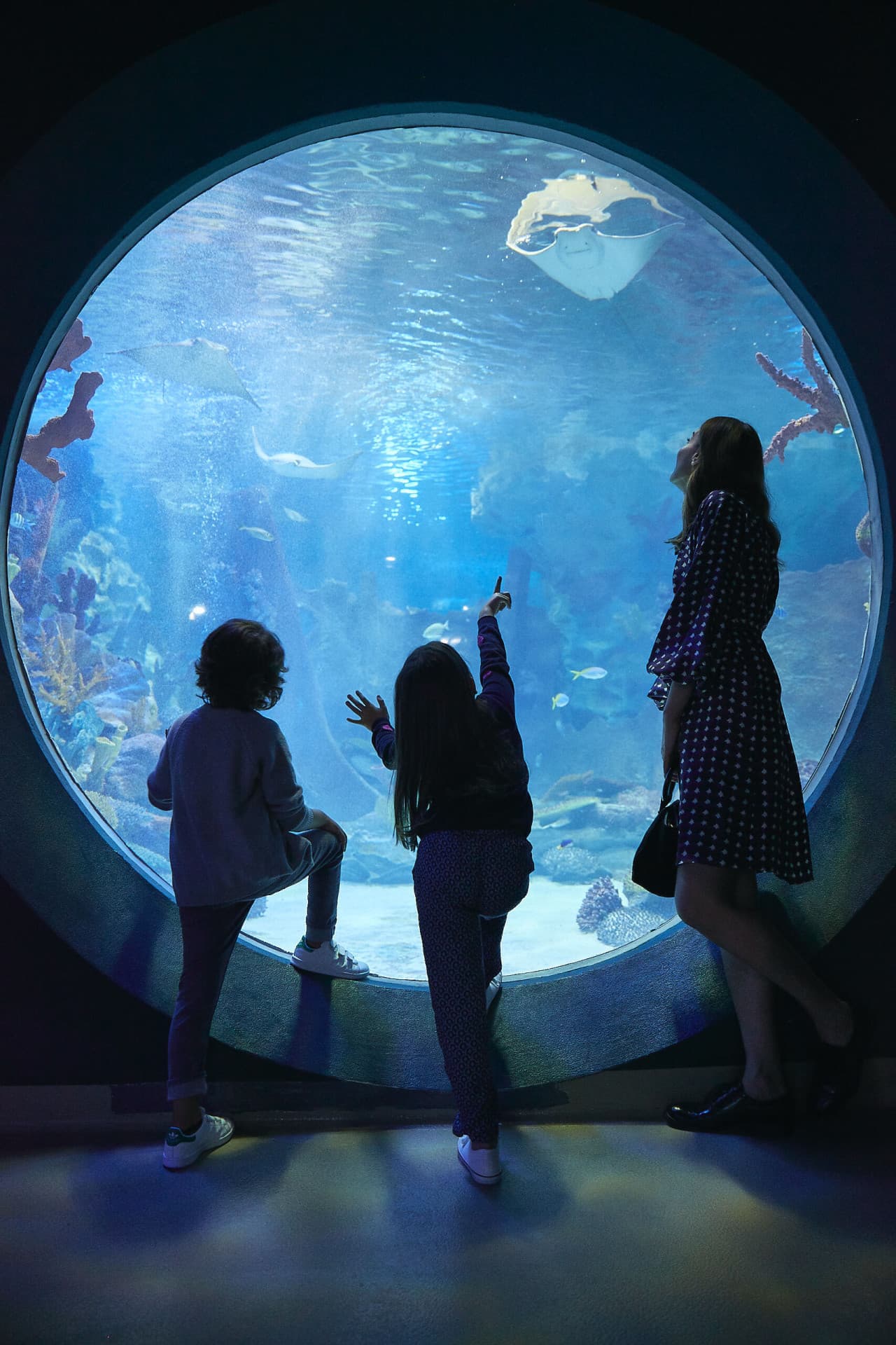 Emaar Aquarium and Underwater Zoo Ticket - image 4