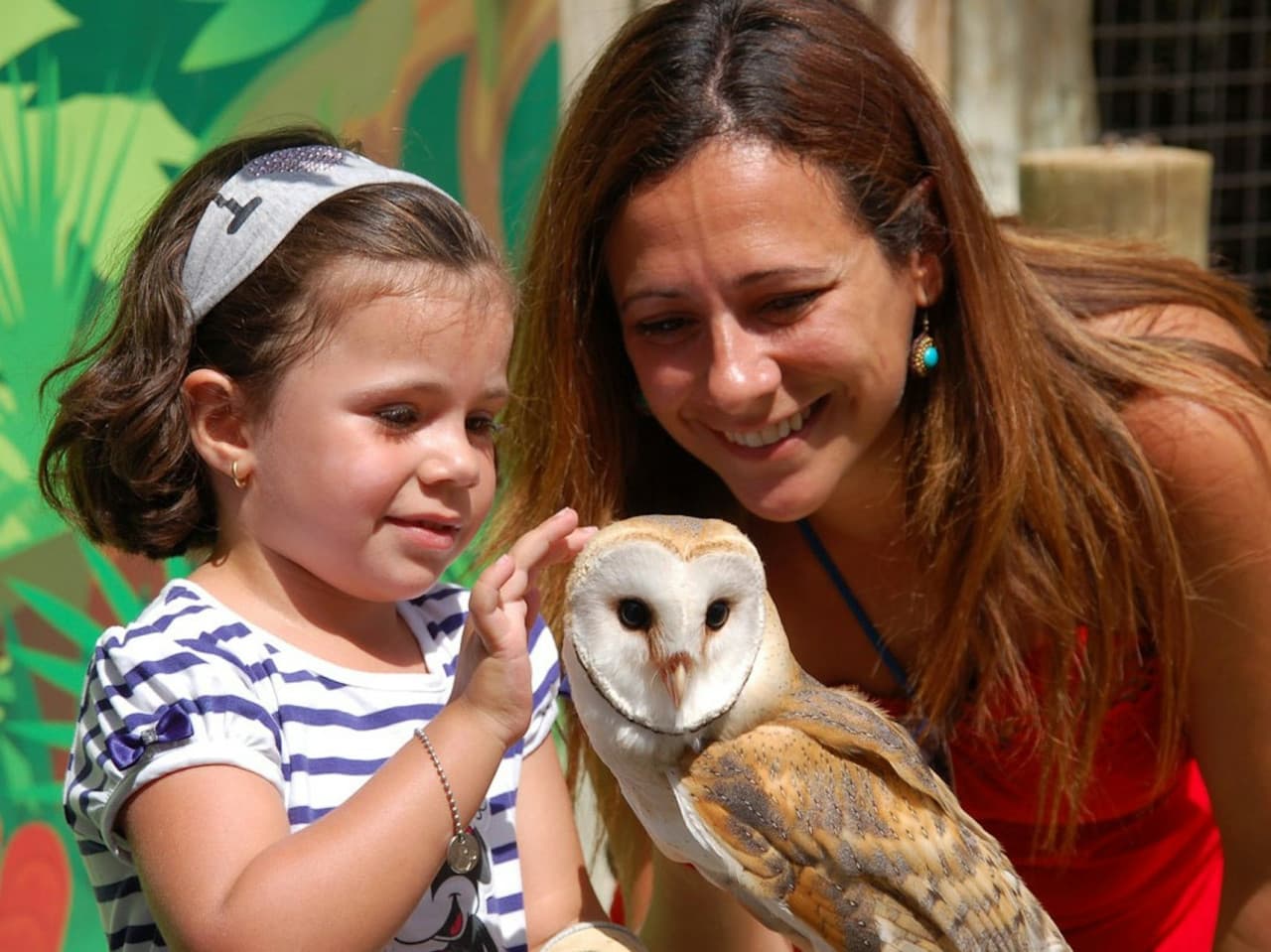 Terra Natura Benidorm: entrada - imagen 7