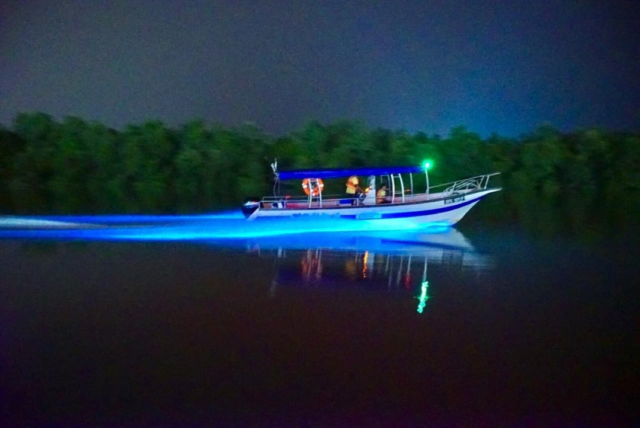 Blue Tears Boat Cruise in Kuala Selangor - image 5