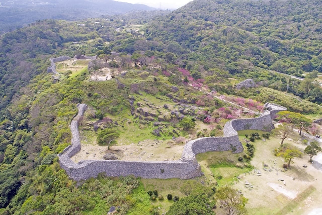 Nakijin Castle Ruins Ticket - image 5