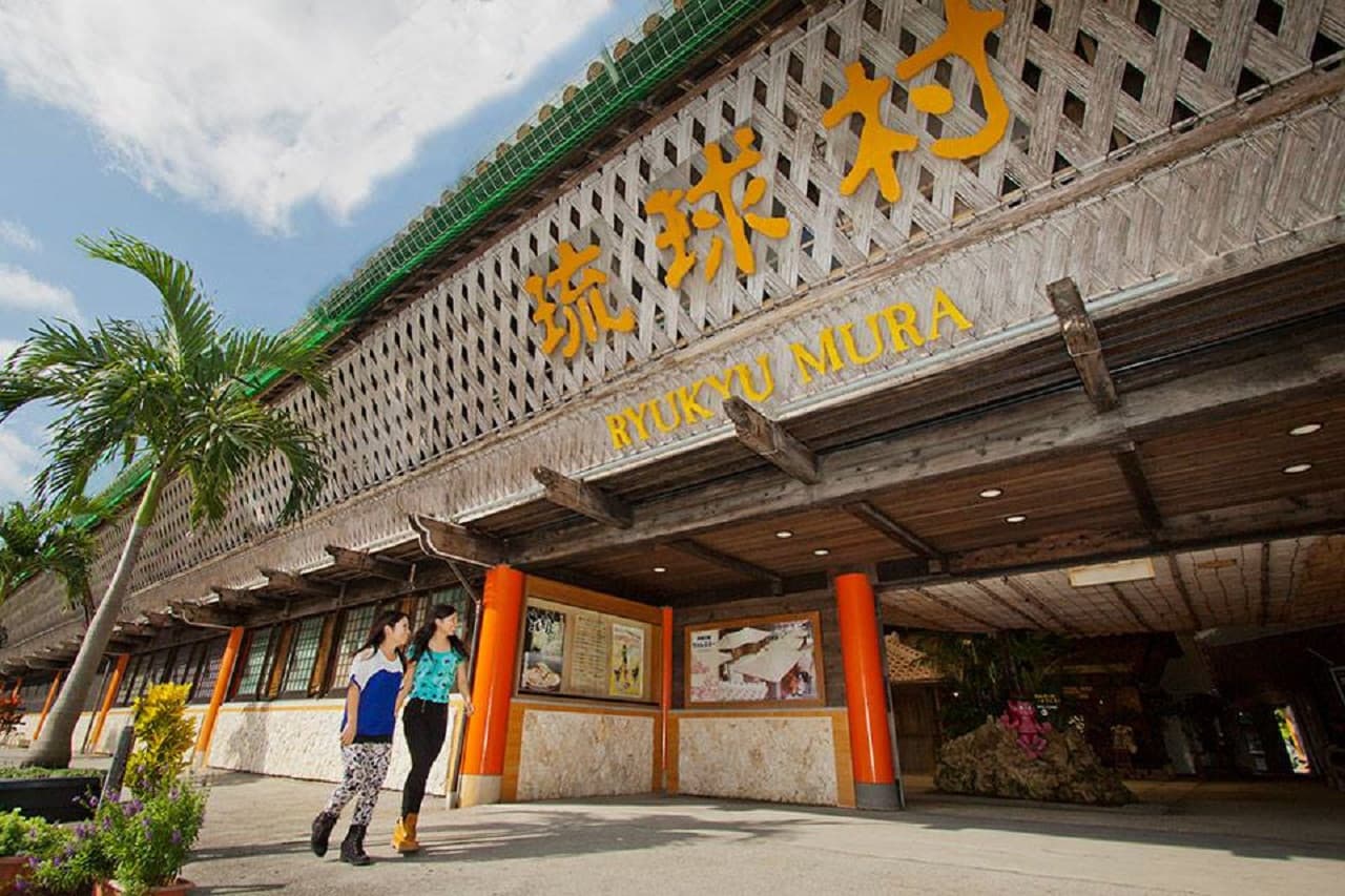 Okinawa Churaumi TokuToku 5 Pass - image 10