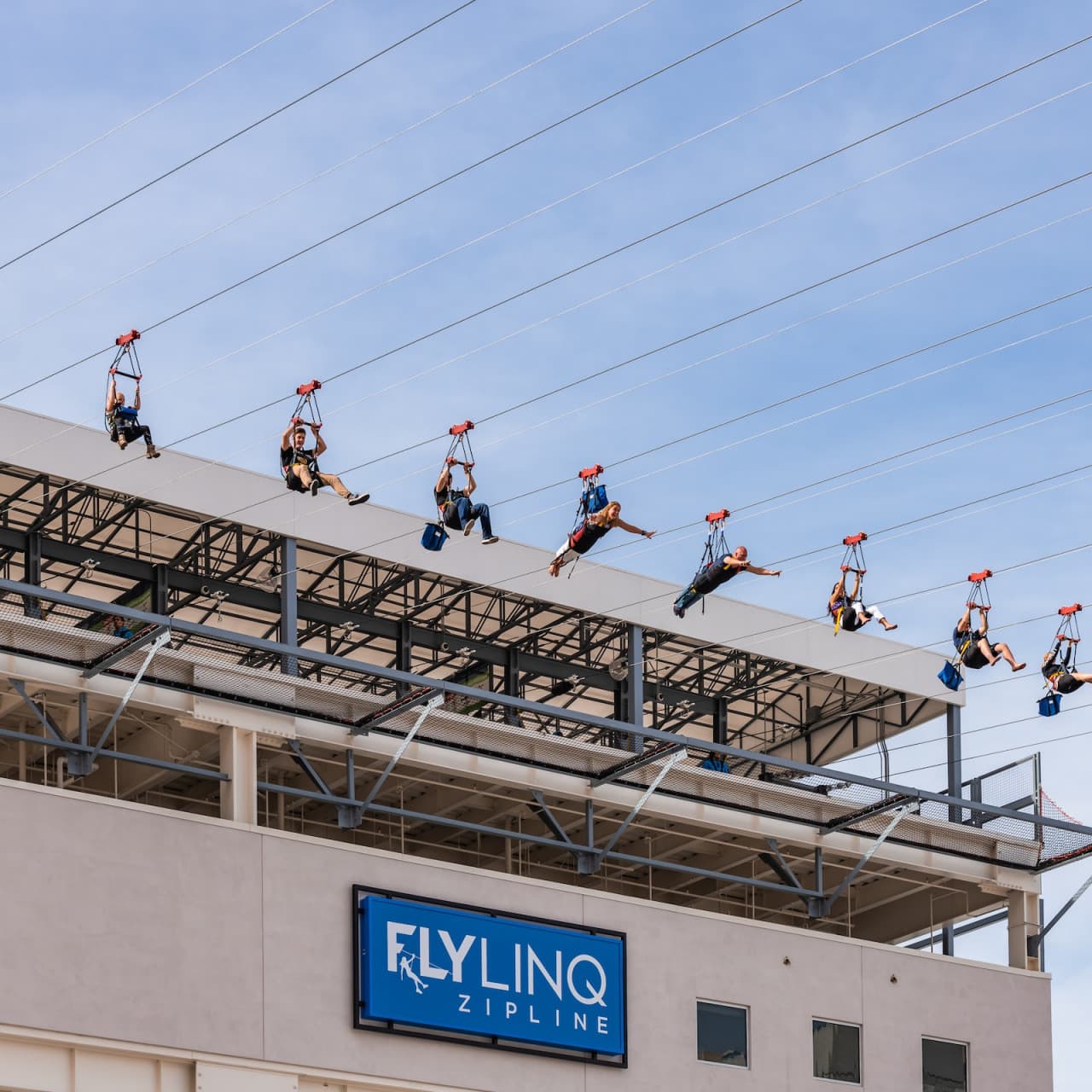 Fly LINQ Zipline - imagen 3