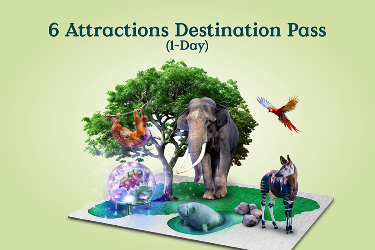 Mandai Destination Pass: Visit Up to 6 Attractions in 1 or 5 Days - main image