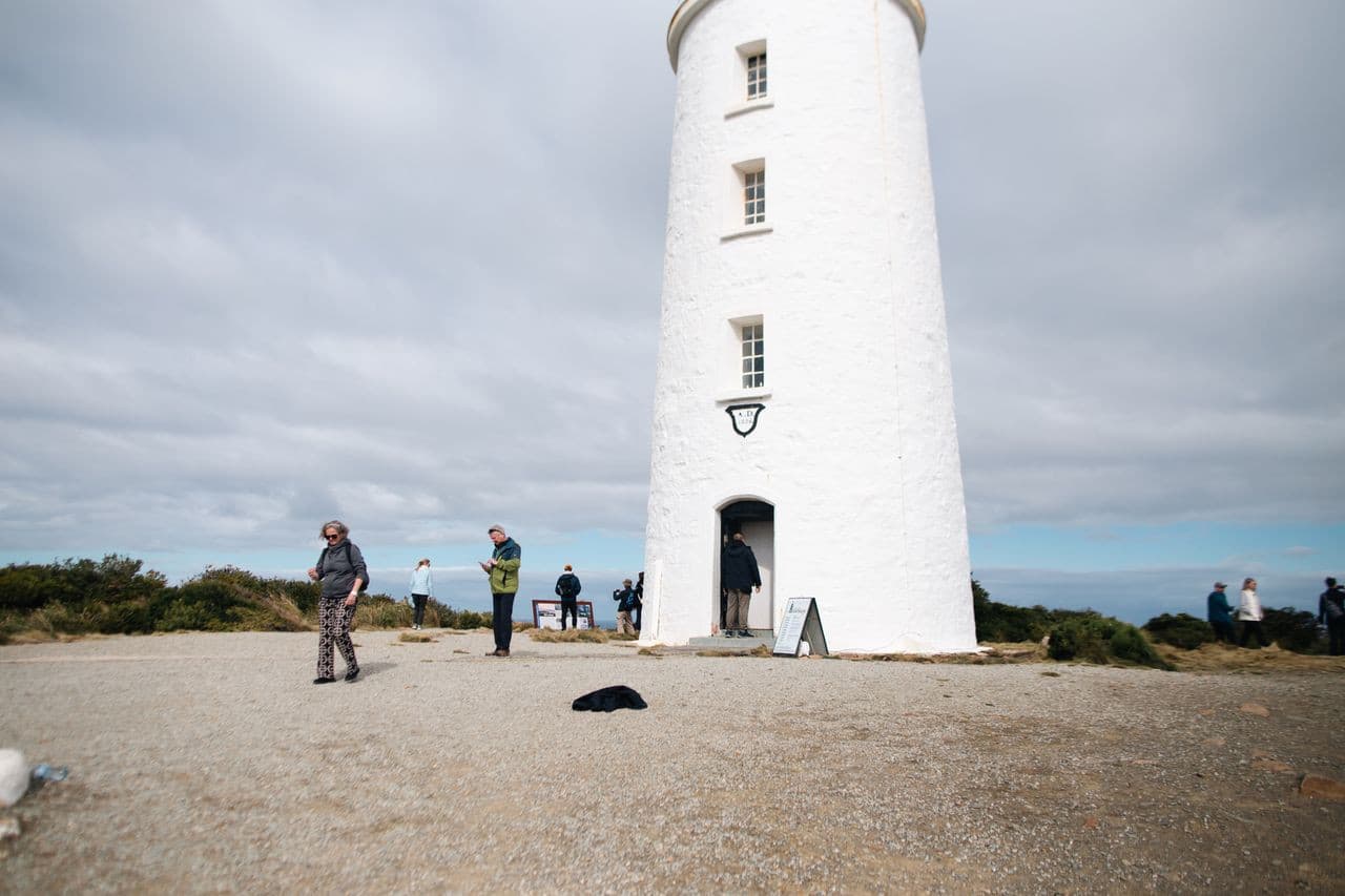 Bruny Island Full-Day Tour from Hobart - image 5