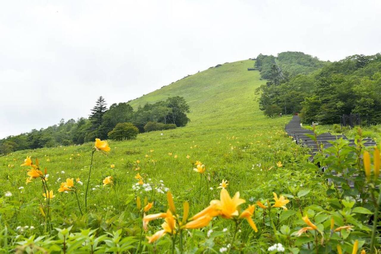 Nikko Pass All Area - image 8