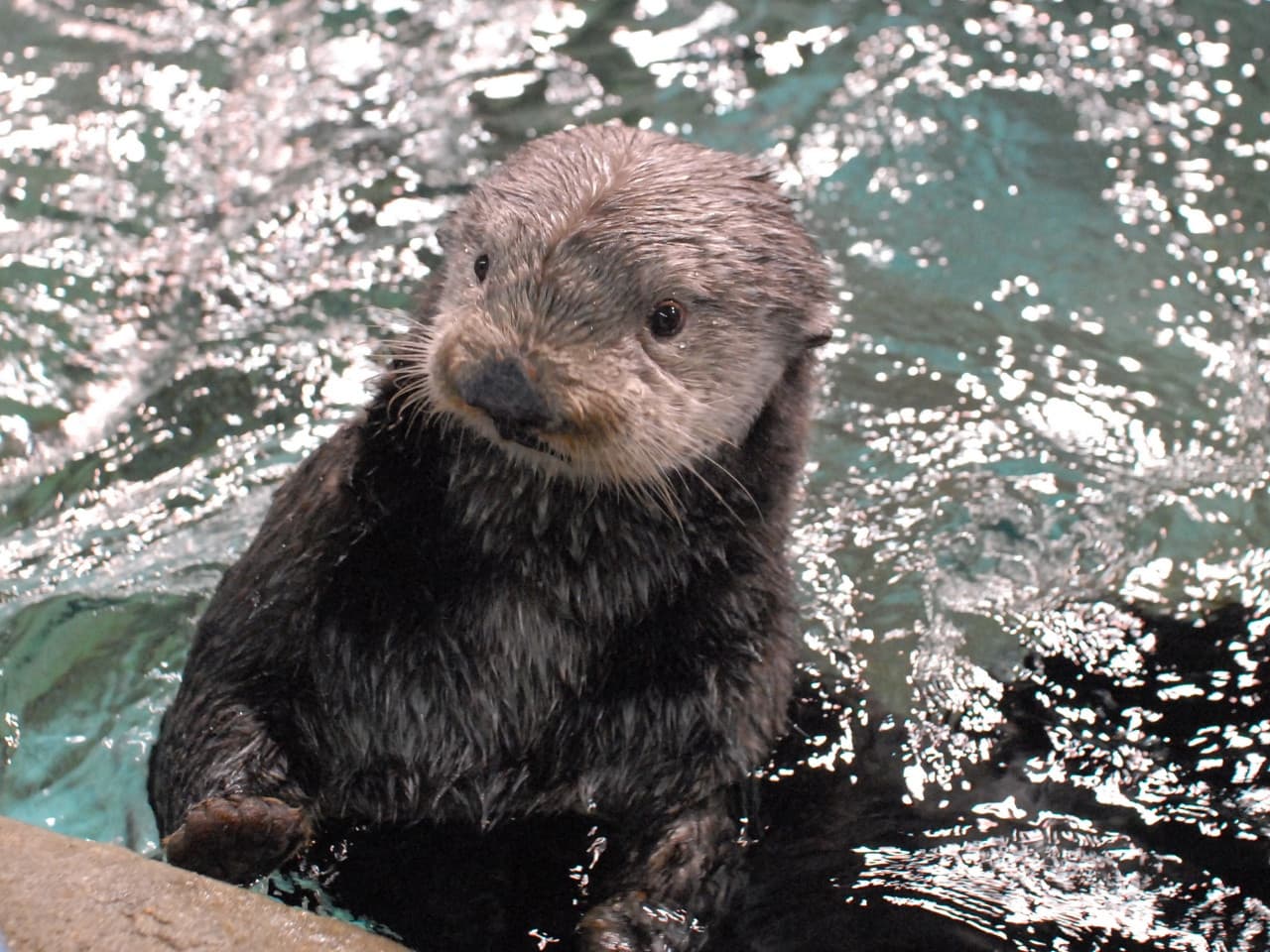 Marine World Uminonakamichi - image 2