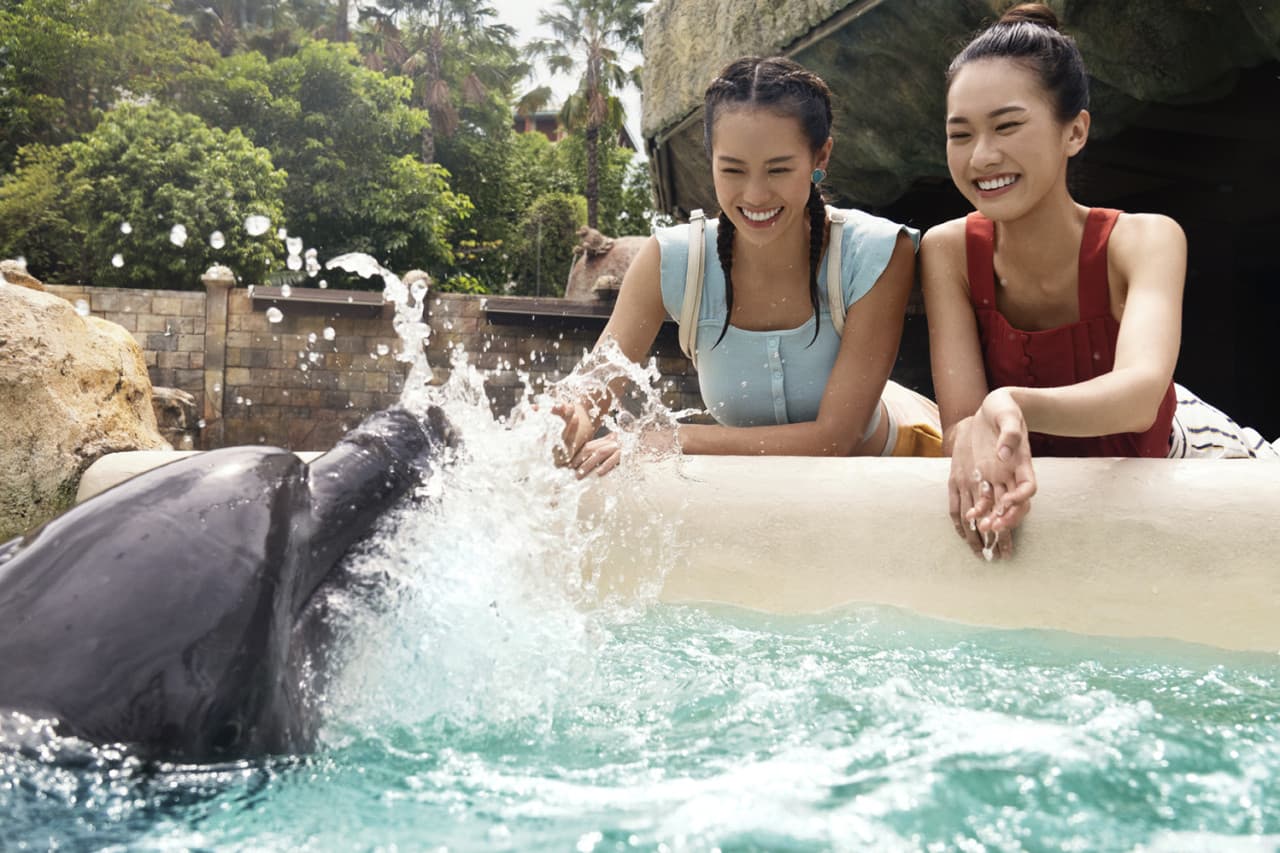 Dolphin Experiences at Marine Mammal Habitat Sentosa - image 5