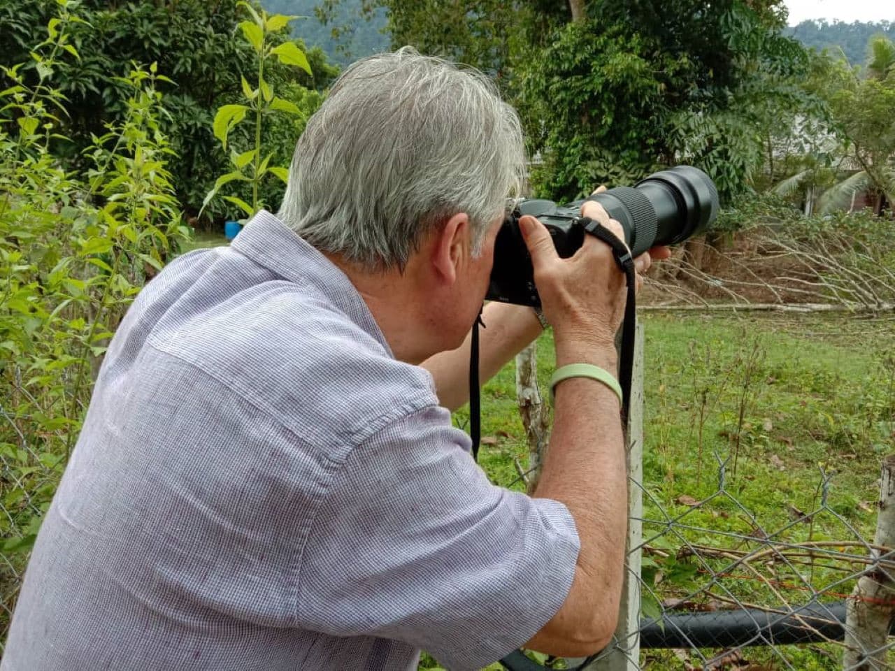 Desaru Coast Birdwatching Experience - image 7