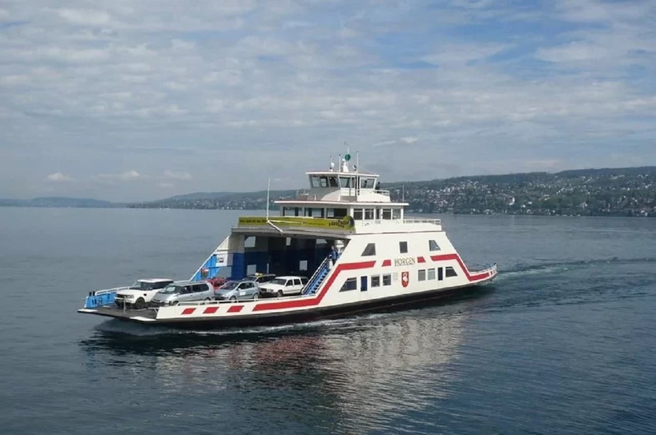 Zurich City Tour with Ferry and Felsenegg Cable Car - image 6