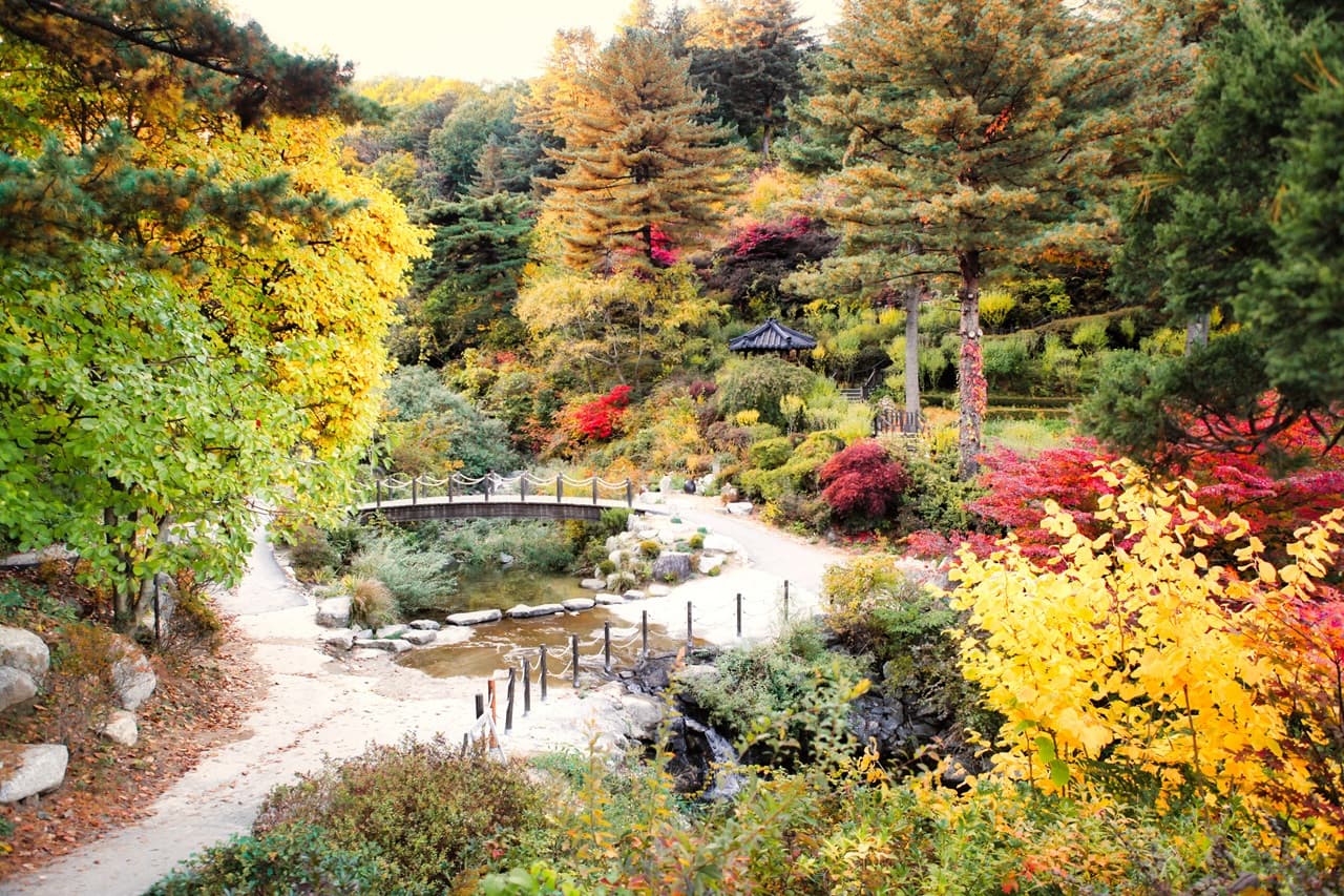 Nami Island, Mount Seorak, and Garden of Morning Calm Full-Day Tour from Seoul - image 3